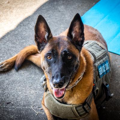 RebEarth3.0 — fest-33.jpg